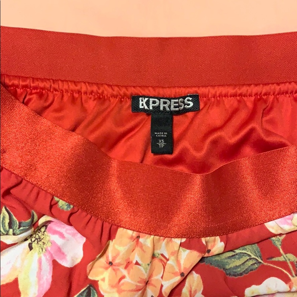 Express skirt. - Picture 1 of 2